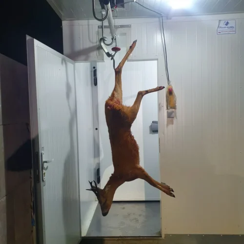 galerie 22 galerie 22